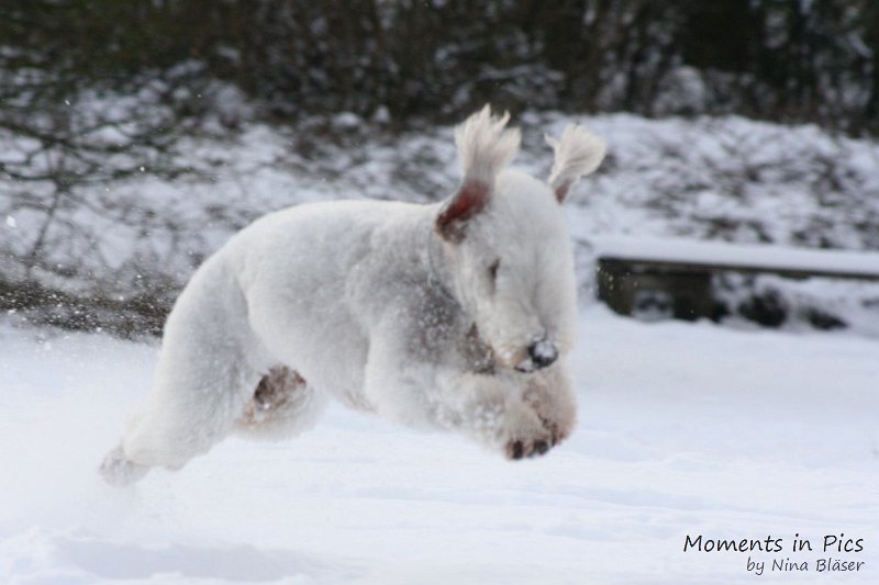 Airis Blue Volshebny Svet 2010-01-31 (10).JPG